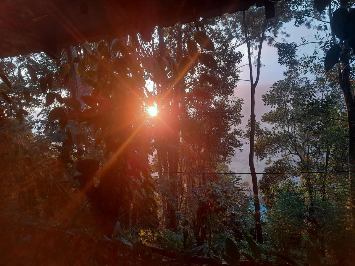 Dulmini Homestay Ella Exteriér fotografie